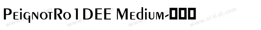 PeignotRo1DEE Medium字体转换
